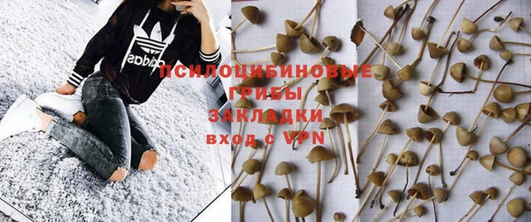 прущие крисы Абаза