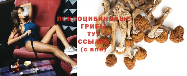 прущие крисы Абаза