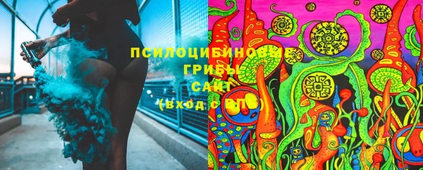 амф Абинск