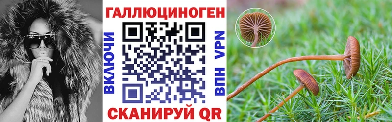 купить   Сорск  Галлюциногенные грибы ЛСД 
