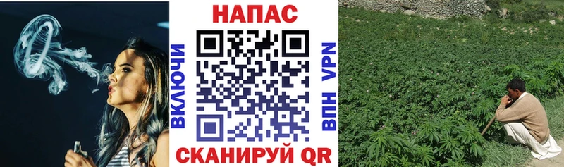 Конопля индика Сорск